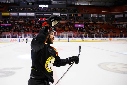 Brynäs Oula Palve jublar