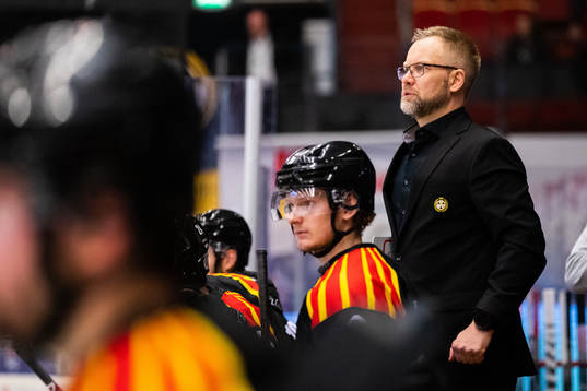 Brynäs tränare Mikko Manner