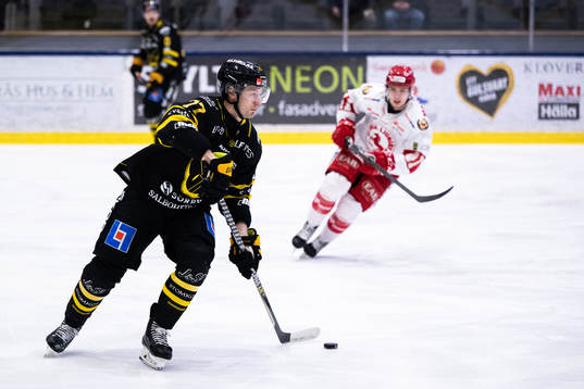 Västerås Ludvig Jardeskog