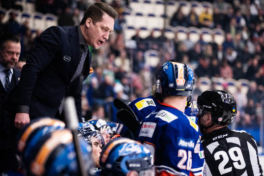 Växjös tränare Sam Hallam i diskussion med Domare