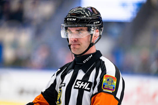 Domare Richard Magnusson