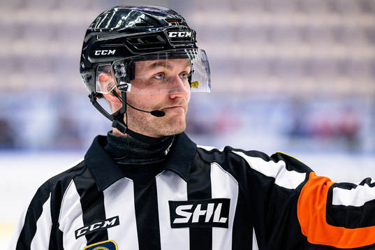 Domare Daniel Eriksson