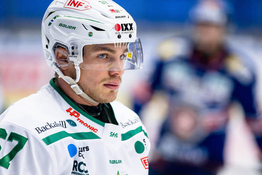 Rögles Leon Bristedt