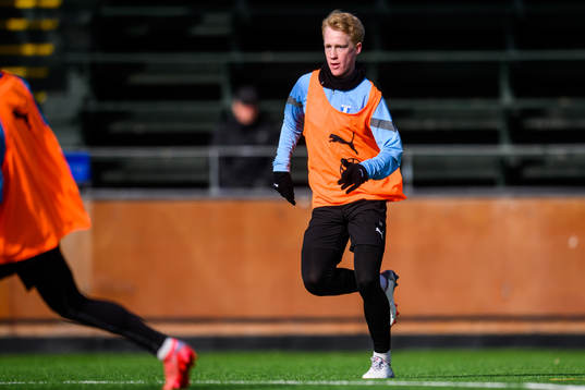 David Edvardsson
