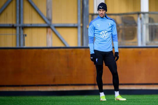 Veljko Birmancevic