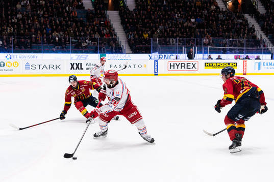 Timrås Robin Hanzl