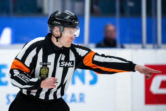 Domare Tobias Björk
