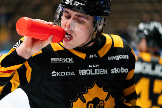 Skellefteås Linus Karlsson