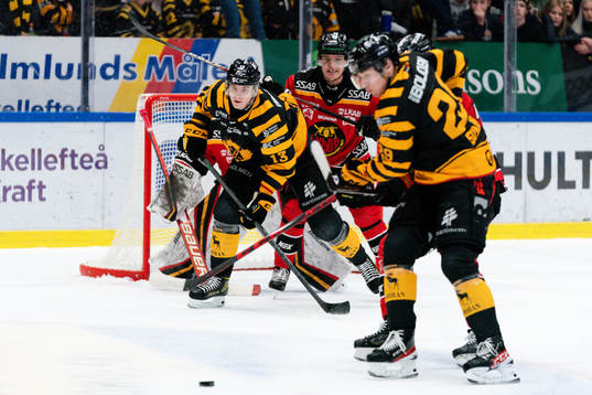 Skellefteås Stefan Loibl