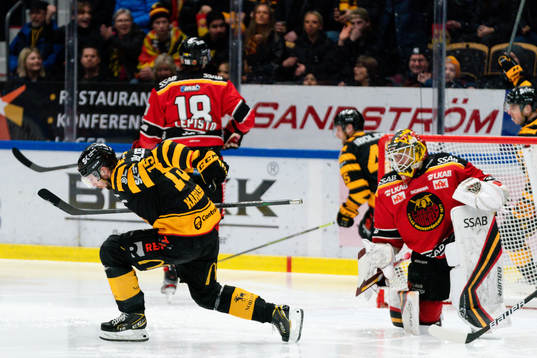 Skellefteås Melker Karlsson jublar