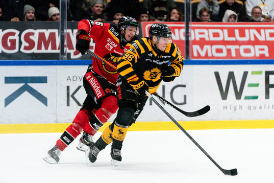 Luleås Carl Mattsson och Skellefteås Rickard Hugg