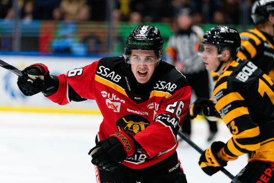 Luleås Radek Muzik