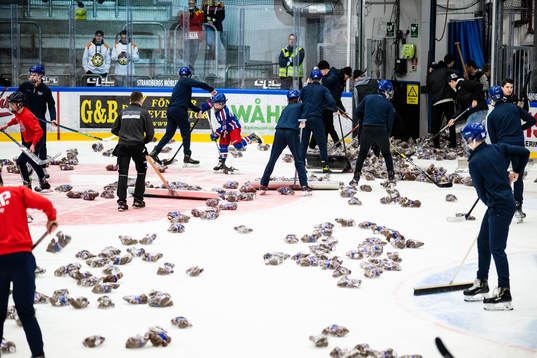 Nallebjörnar kastas in på isen till förmån av