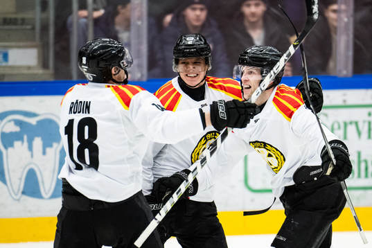 Brynäs Greg Scott jubla