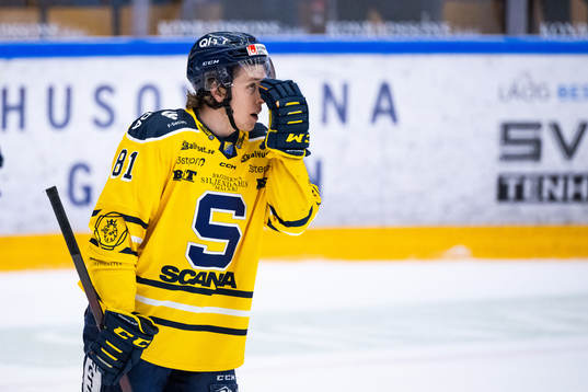 Södertäljes Emil Aronsson deppar