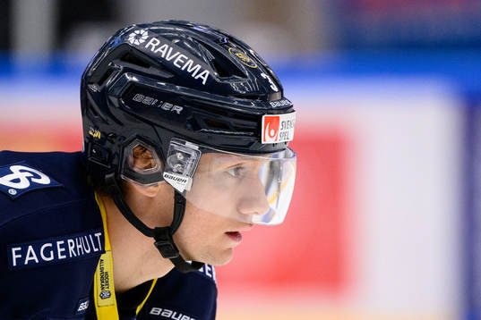 s Daniel Bertov