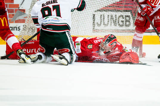 Troja/Ljungbys målvakt Markus Ruusu