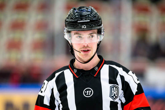Domare Filip Eriksson