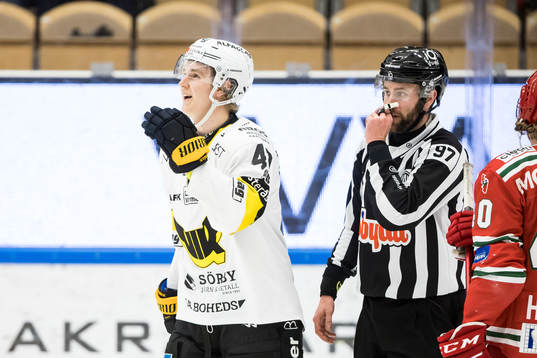 Västerås Isak Skedung