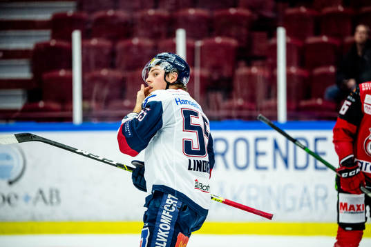 Linköpings Max Lindroth deppar