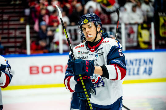 Linköpings Roberts Mamcics deppar
