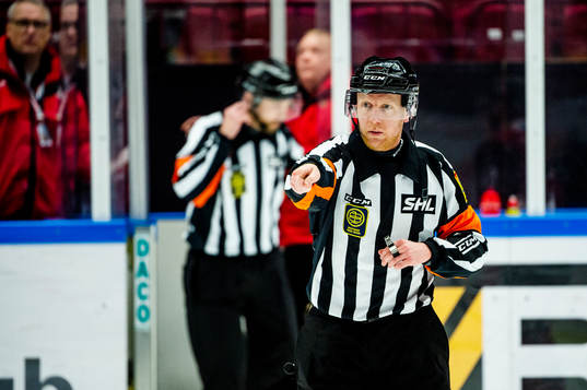 Domare Mikael Holm