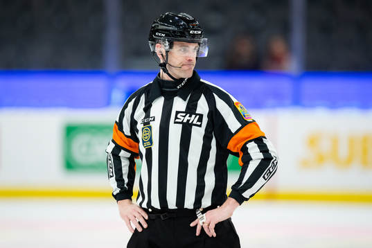 Domare Richard Magnusson