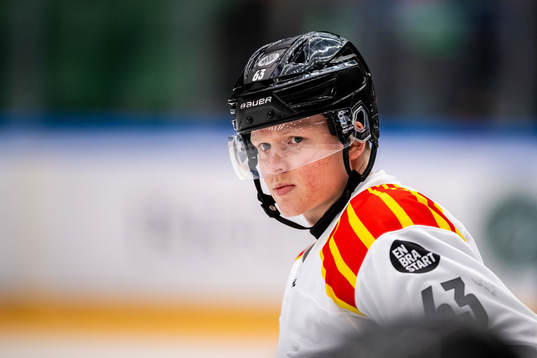 Brynäs Julius Bergman