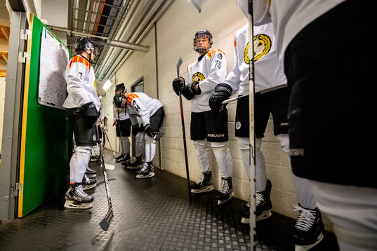 Brynäs spelarna