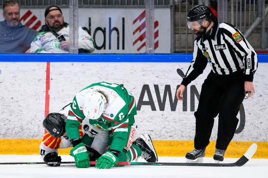 Brynäs Greg Scott