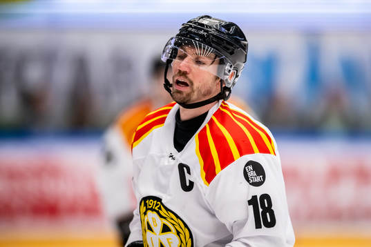 Brynäs Anton Rödin deppar