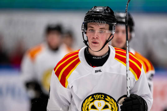 Brynäs Noel Gunler deppar