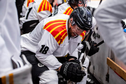 Brynäs Anton Rödin  deppar
