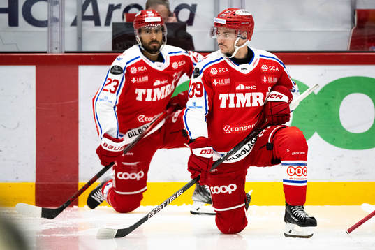 Timrås Ty Rattie