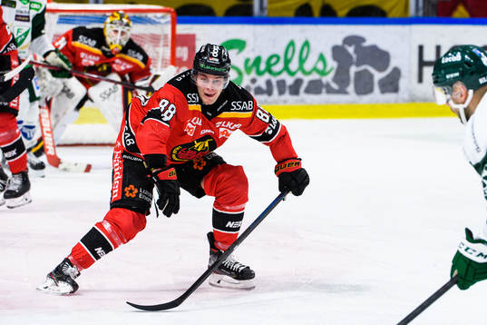 Luleås Joonas Rask