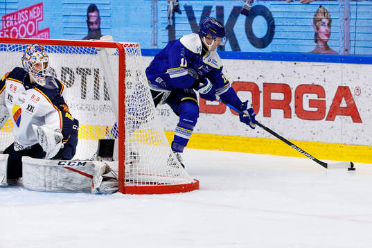 Djurgårdens målvakt Alexander Salak och Leksands Martin