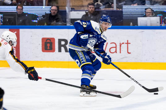 Leksands Mikael Ruohomaa