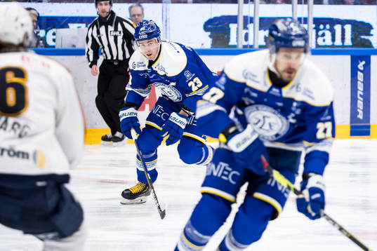 Leksands Mikael Ruohomaa