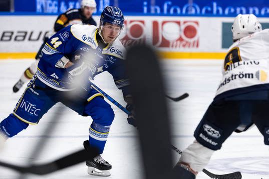 Leksands Carter Ashton