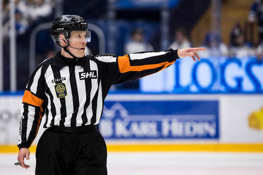 Domare Tobias Björk