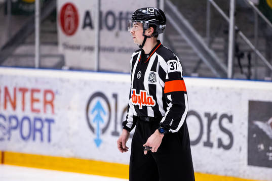 Domare Johan Wedin