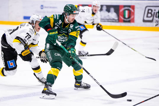 Björklövens Francis Perron