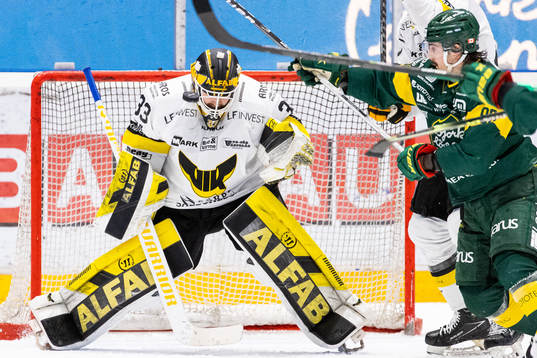 Västerås målvakt Linus Ryttar