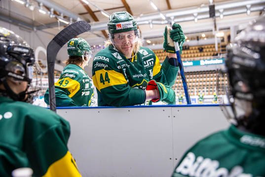 Björklövens Olle Liss