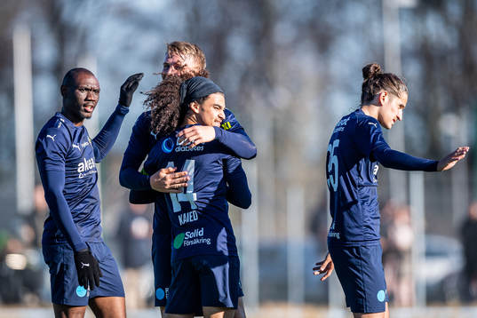 Helsingborgs Ravy Tsouka-Dozi, Adam Kaied och Ervin