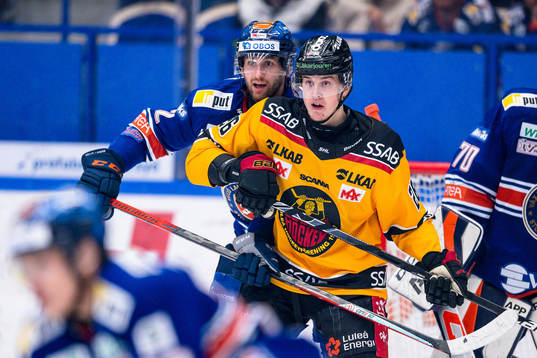 Växjös Amil Krupic och Luleås Radek Muzik