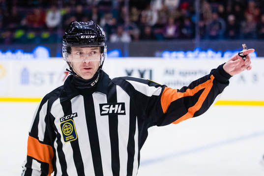 Djurgårdens Domare Mikael Andersson
