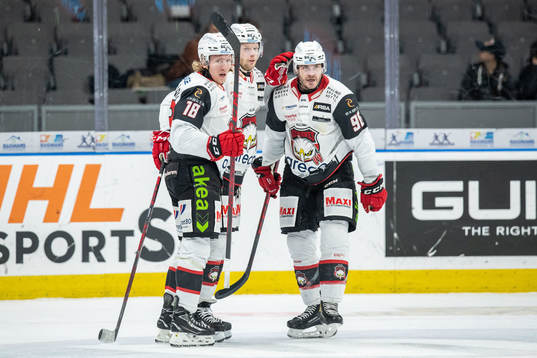 Malmö Redhawks spelare jublar