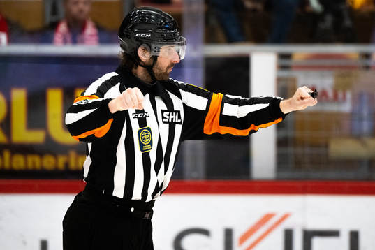 Domare Mikael Sjöqvist