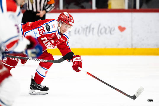 Timrås Ty Rattie